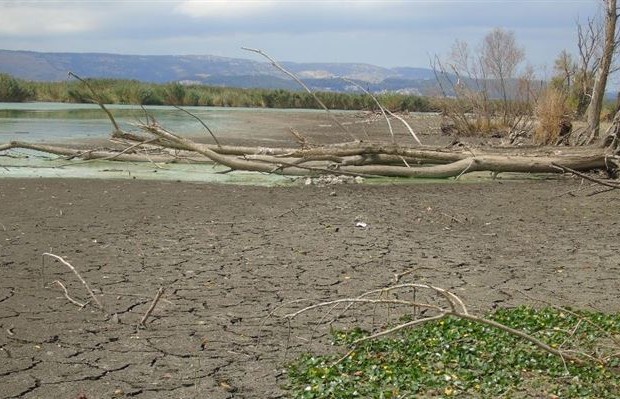 Η στάθμη στην Παμβώτιδα έπεσε τόσο πολύ που σχηματίστηκε παραλία Η στάθμη στην Παμβώτιδα έπεσε τόσο πολύ που σχηματίστηκε παραλία