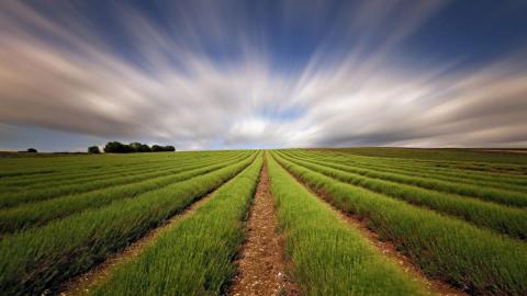 Beautiful-fields-Agriculture-900x1600.jpg