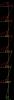 post-33925-131887254449_thumb.jpg