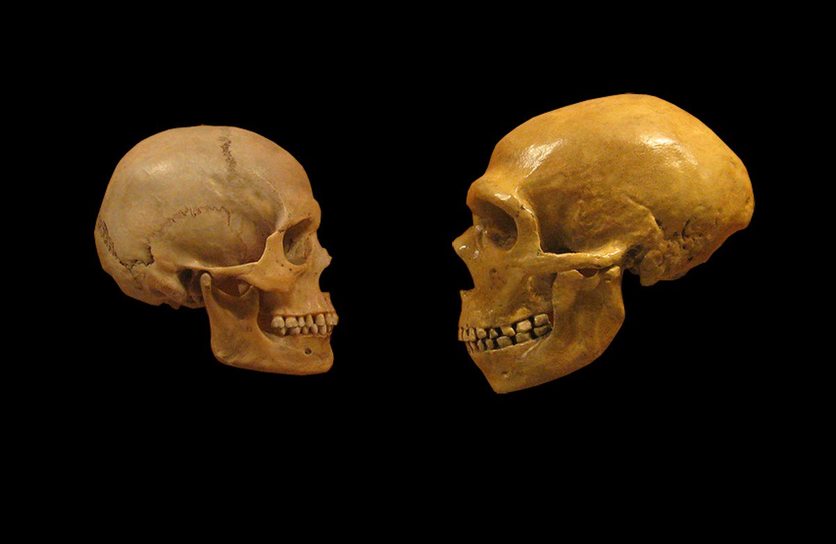 More information about "Ο Homo sapiens εμφανίστηκε στην Αφρική, ίσως και πριν από 350.000 χρόνια"