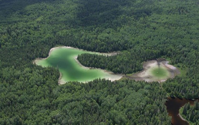 More information about "Τεράστιες απώλειες δασικής έκτασης για τη Ρωσία, τον Καναδά και τη Βραζιλία"