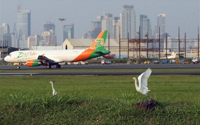 More information about "Νέα Υόρκη: Θανάτωση 70.000 πτηνών σε 8 χρόνια για την ασφάλεια των αεροπλάνων"