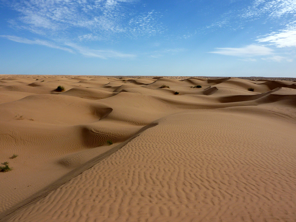 More information about "Η έρημος Σαχάρα έχει μεγαλώσει 10% μέσα σε σχεδόν έναν αιώνα"