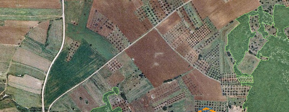 More information about "E- mail για τις επικαλύψεις αγροτεμαχίων με τους δασικούς χάρτες στέλνει ο ΟΠΕΚΕΠΕ"