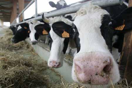 More information about "Ενεργοποιήθηκε το σύστημα του Ν.4178/13 για τη ρύθμιση αυθαίρετων κτηνοτροφικών εγκαταστάσεων"