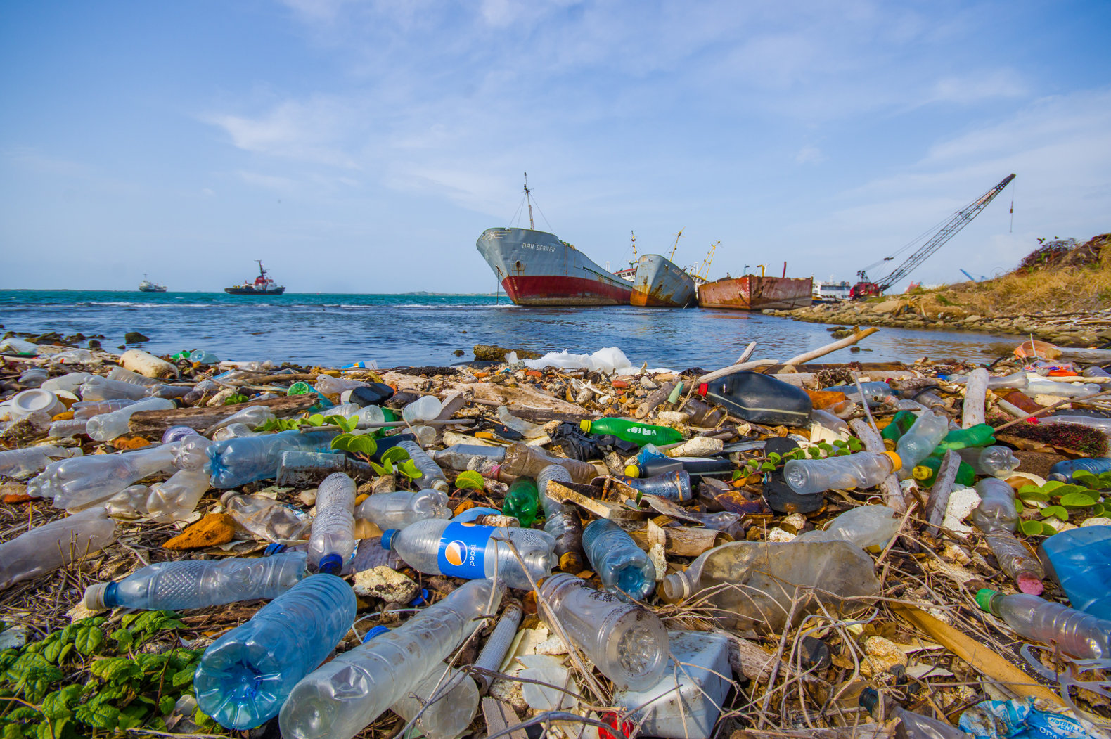 More information about "Η Μεσόγειος κινδυνεύει από τα πλαστικά"