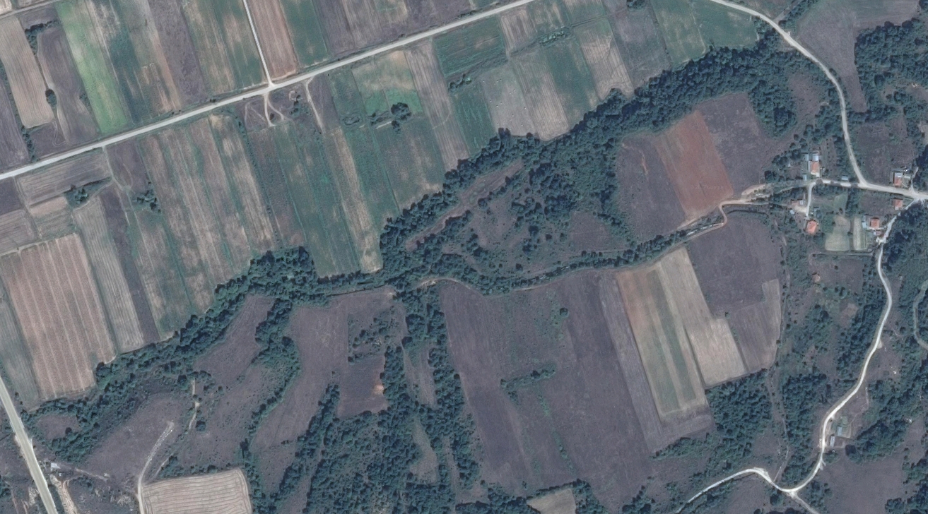 More information about "Διάθεση γεωχωρικών δεδομένων αναρτημένων δασικών χαρτών από τον ΠΣΔΑΤΜ"