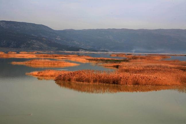 More information about "Η ζωή έρχεται πάλι στη λίμνη Κάρλα"