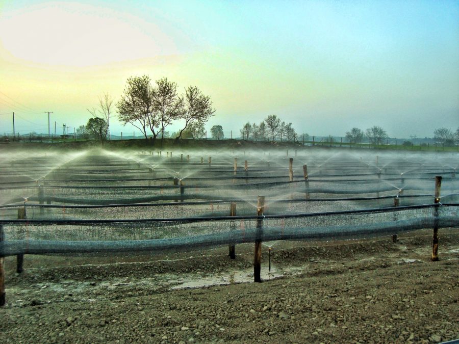 More information about "Υποχρεώσεις δικαιούχων σημείων υδροληψίας που κάνουν αγροτική χρήση ύδατος"