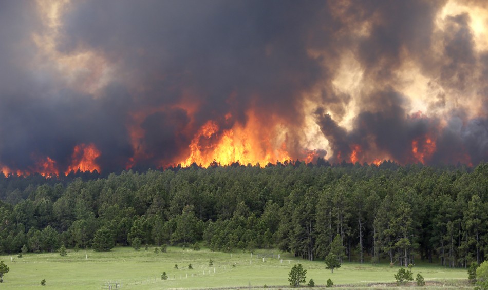 More information about "Η κλιματική αλλαγή θα αυξήσει τον κίνδυνο δασικών πυρκαγιών στη Μεσόγειο"