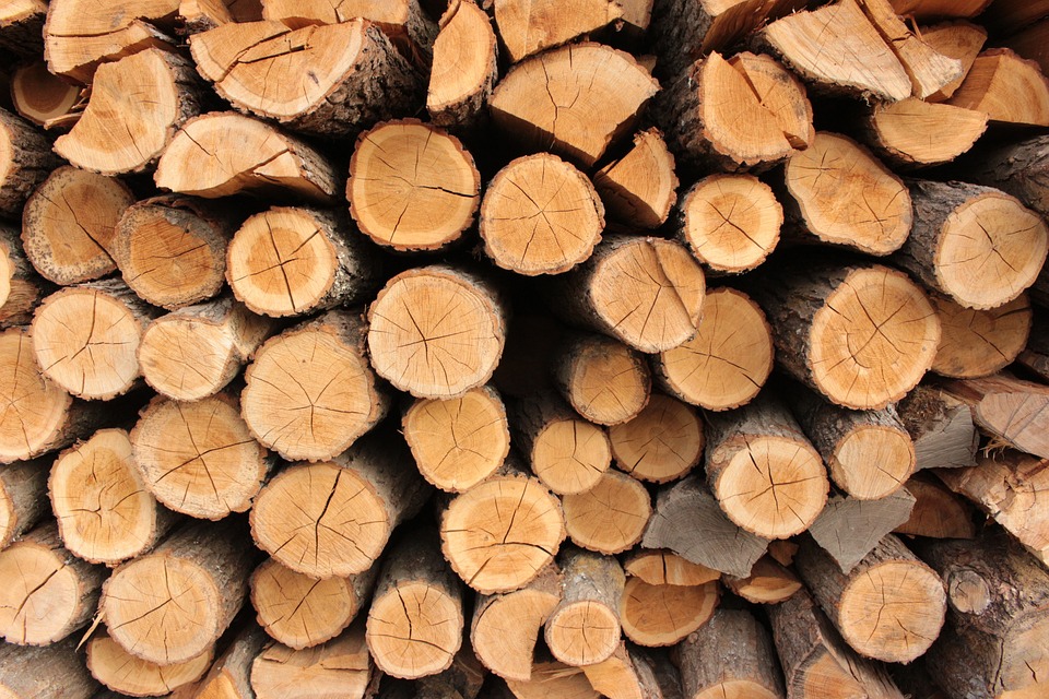 More information about "Νέο βιοκαύσιμο από… ξύλο μειώνει τις εκπομπές διοξειδίου του άνθρακα κατά 80%"