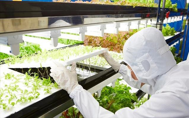 More information about "Η Toshiba στρέφεται στην καλλιέργεια λαχανικών με καινοτόμες μεθόδους"