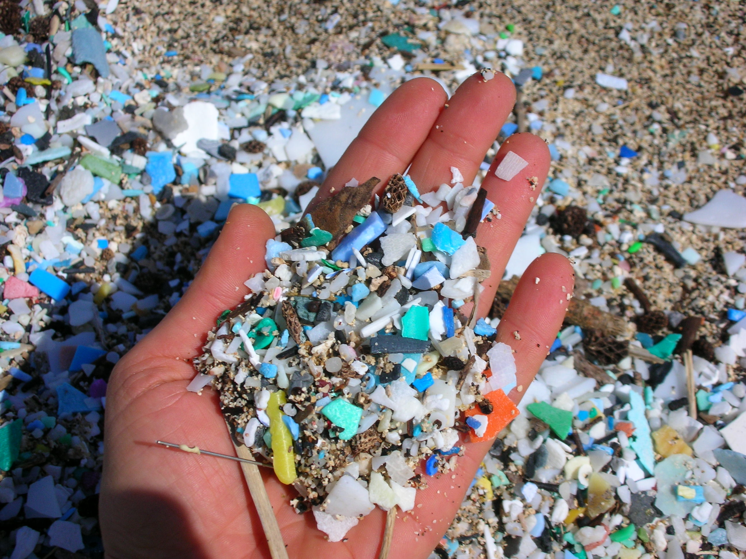 More information about "Microplastics: Η μαζική αόρατη απειλή των ωκεανών(Infographic)"