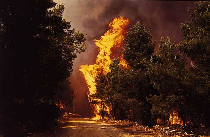 More information about "Οι 10 μεγαλύτερες πυρκαγιές του κόσμου: Στην 8η θέση η φωτιά του 2007 στην Ελλάδα"