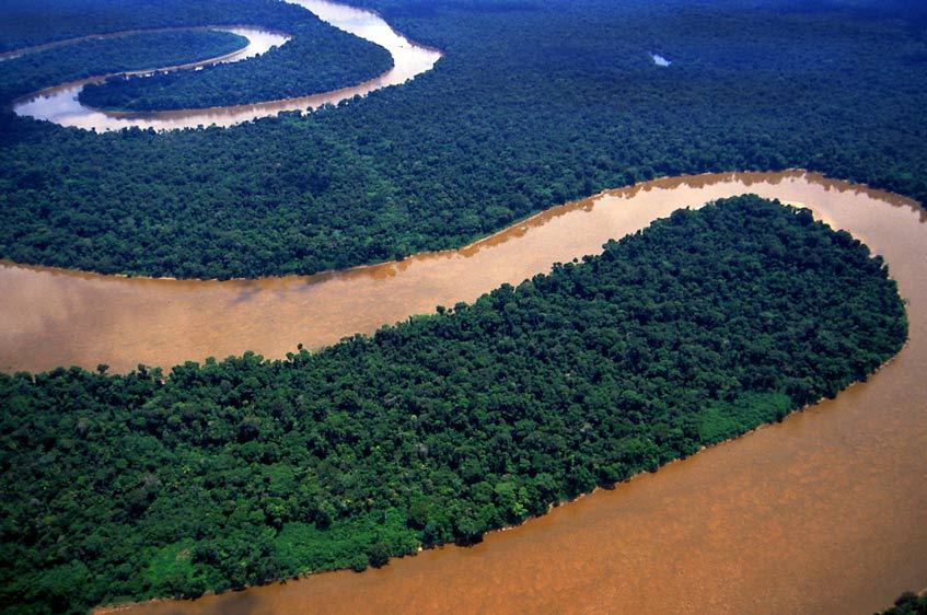 More information about "Αμαζόνιος: Κλιματική αλλαγή και κονκισταδόρες δημιούργησαν το τροπικό δάσος"