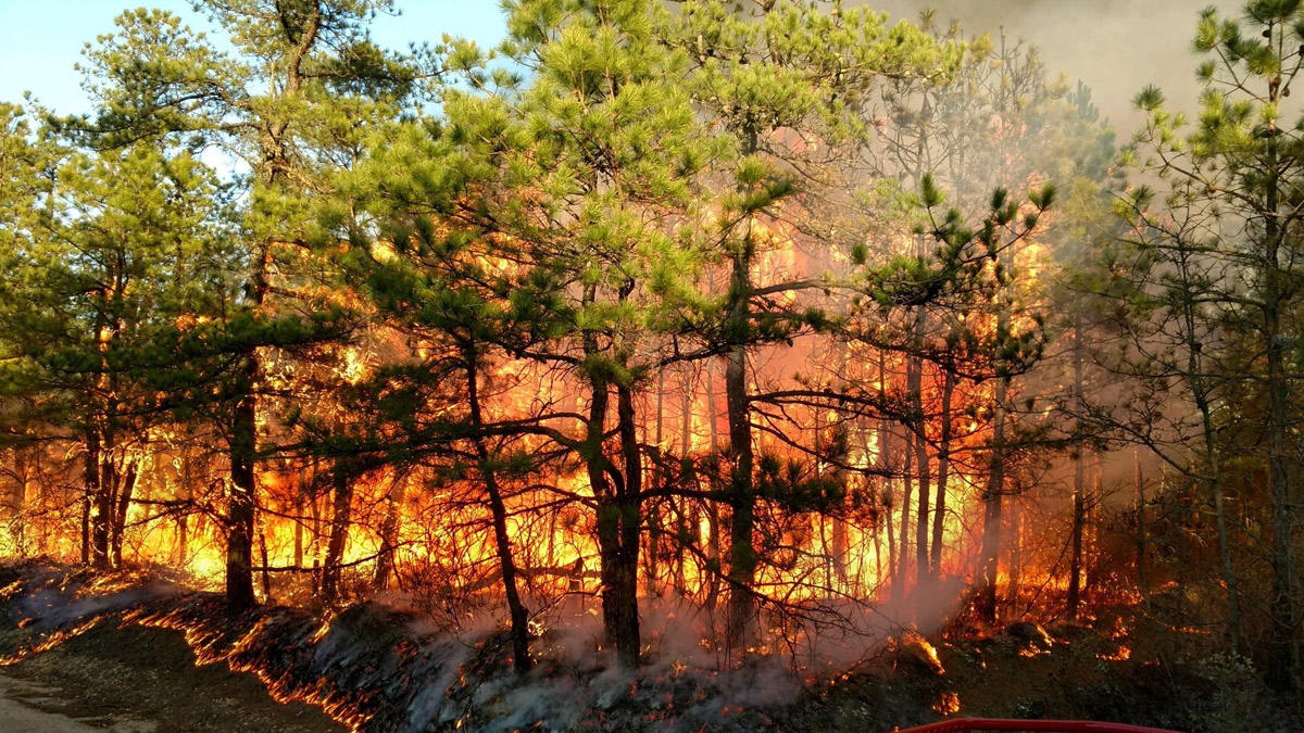 More information about "Ανεξέλεγκτη η φωτιά στην Ανατολική Αττική-Εκτείνεται σε 25 χιλιόμετρα"