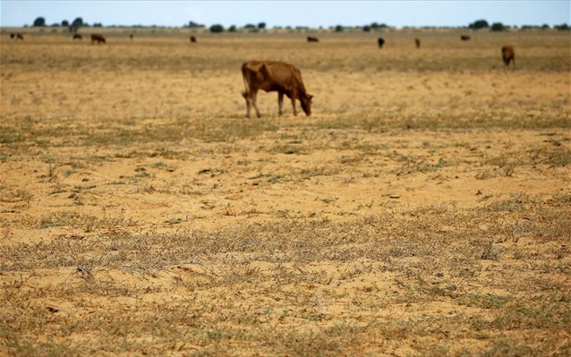 More information about "Το Ελ Νίνιο και η ξηρασία απειλούν 32 εκατομμύρια Αφρικανούς"