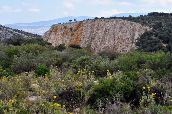 More information about "Μήλον της έριδος 7.500 στρέμματα στη Δυτική Αθήνα"