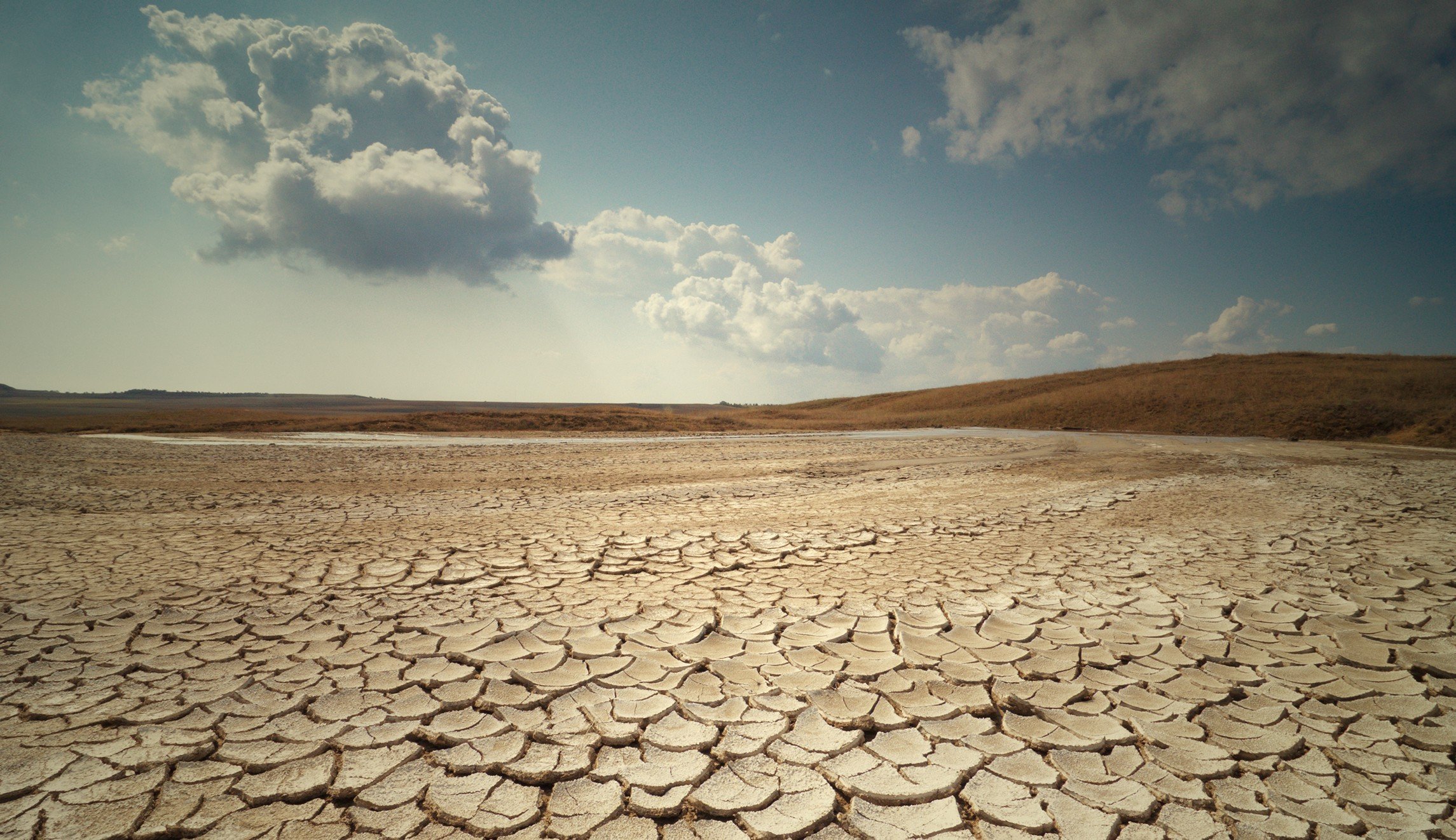 More information about "Η ερημοποίηση πλήττει τον πλανήτη με ταχύτατους ρυθμούς"