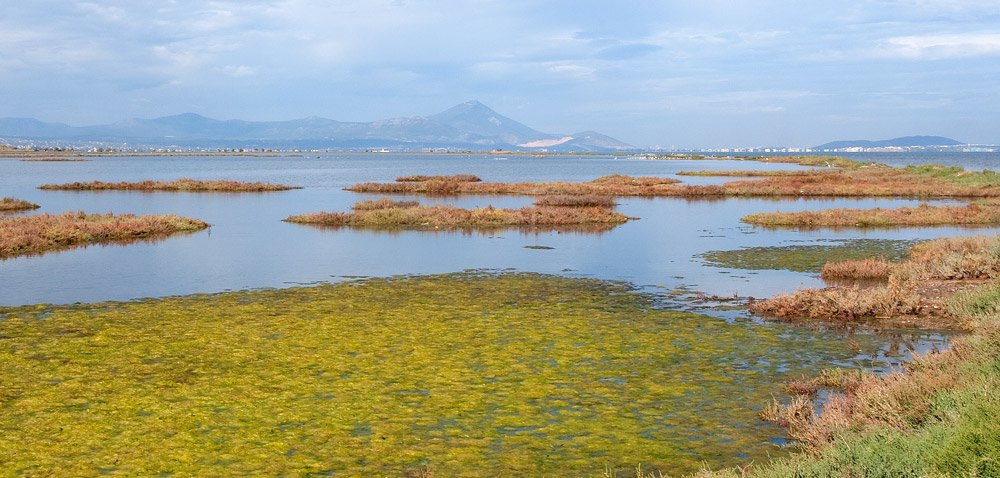 More information about "Υπό προστασία τίθενται 15 μικροί υγρότοποι της Αττικής"