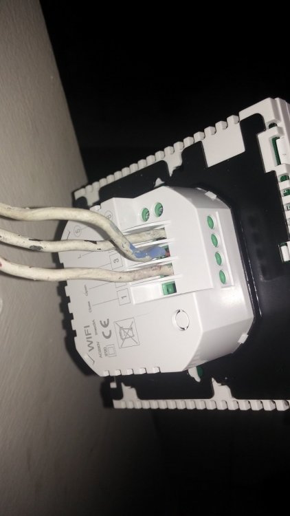 2018-12-01 13.25.03.jpg