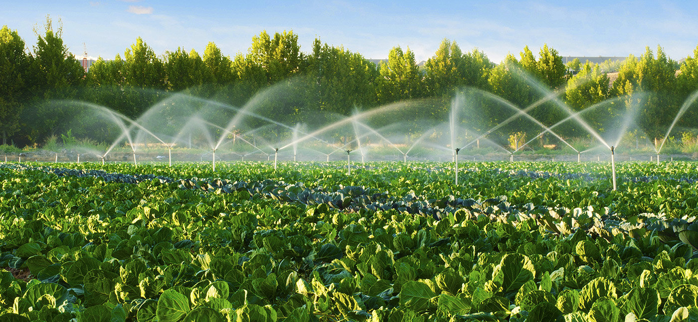 More information about "Νέοι κανόνες της ΕΕ για την επαναχρησιμοποίηση του νερού στη γεωργική άρδευση"