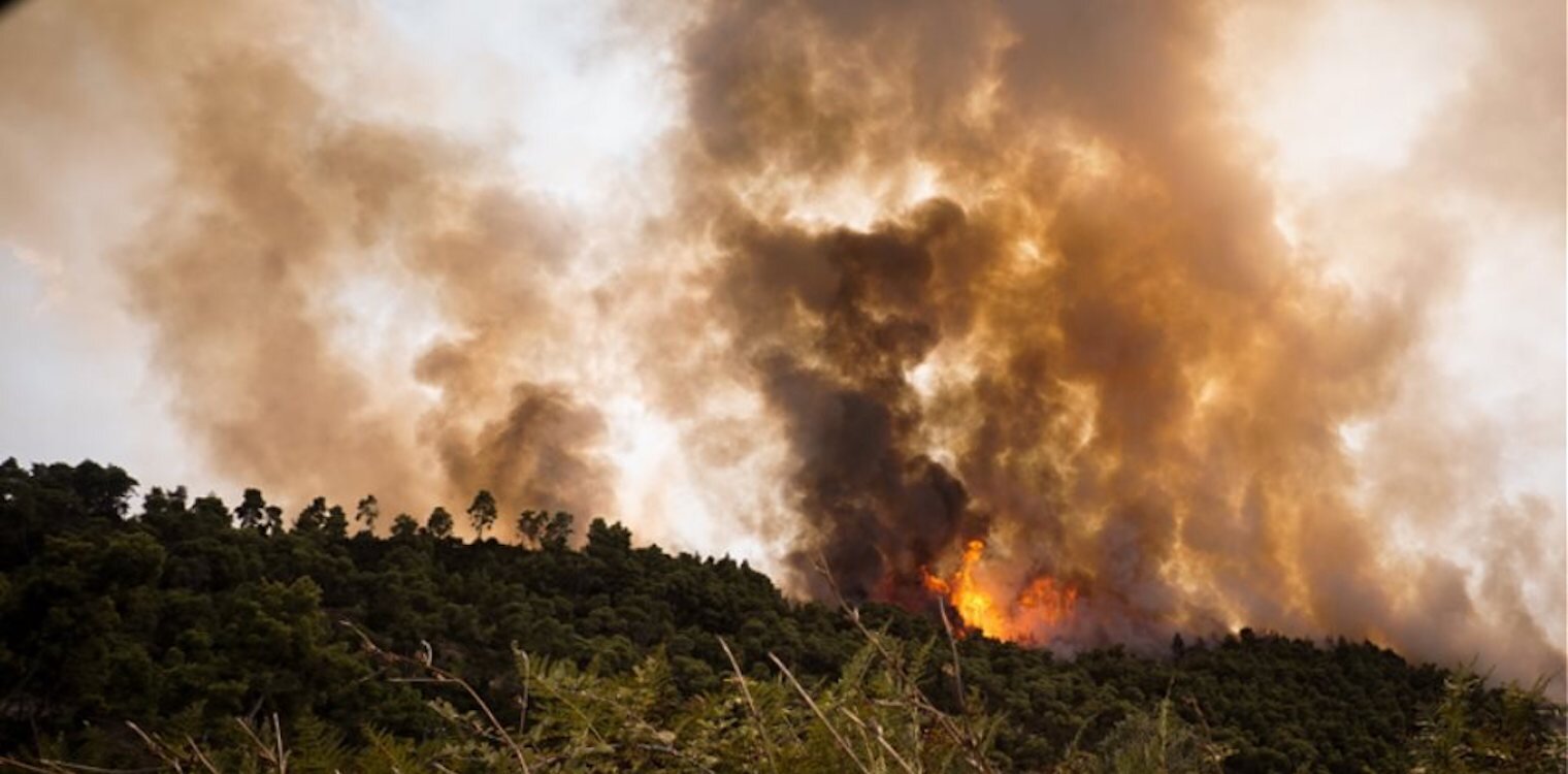 More information about "Εύβοια: Σε περιοχή Natura το δάσος που καίγεται και ένα από τα 19 αισθητικά δάση της χώρας"