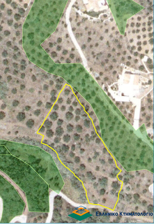 ΑΡΧΙΚΑ ΑΝΑΡΤΗΜΕΝΟΣ ΔΑΣΙΚΟΣ ΧΑΡΤΗΣ.jpg