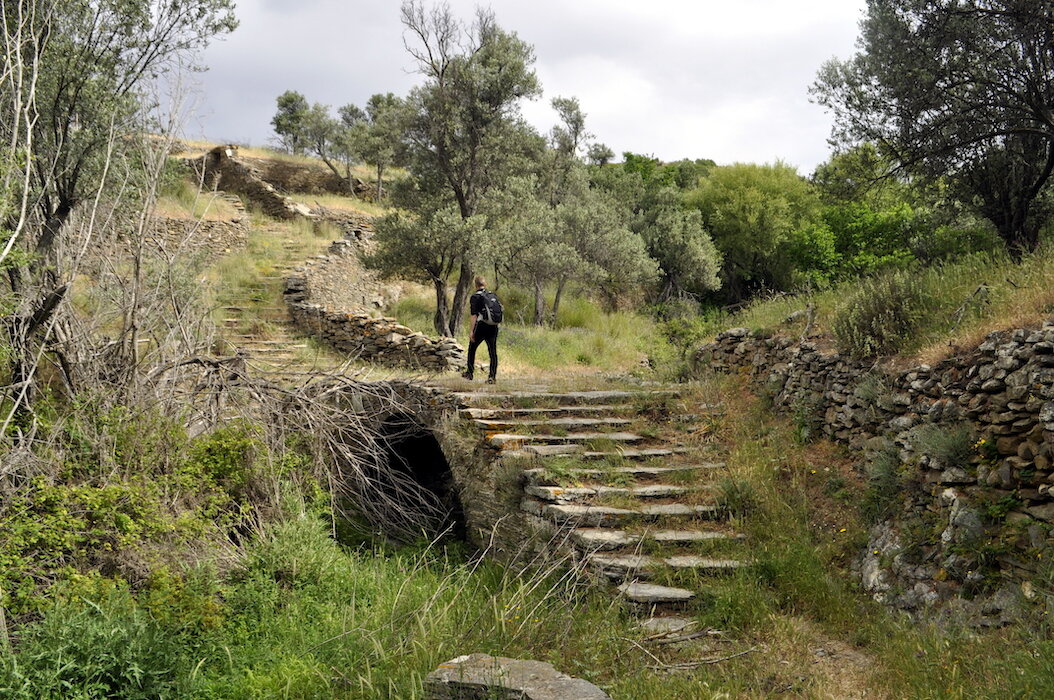 More information about "ΥΠΕΝ: Πρόγραμμα αναβάθμισης του Υμηττού - Πιλοτικό πεζοπορικό δίκτυο μονοπατιών"