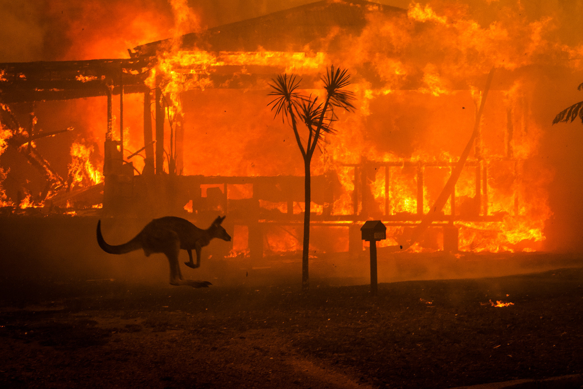 More information about "Infographics: Αυστραλία- Ποια είναι η κατάσταση με τις πυρκαγιές"