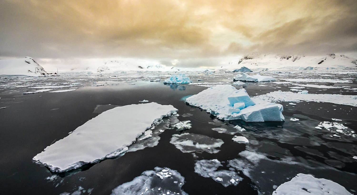 More information about "Η θερμοκρασία στην Ανταρκτική ξεπέρασε τους 20 βαθμούς Κελσίου για πρώτη φορά στην ιστορία"