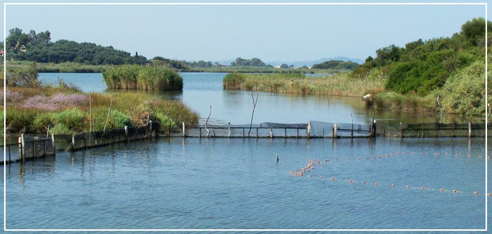 More information about "Το μέλλον για τις περιοχές Natura και τους 36 φορείς διαχείρισης"