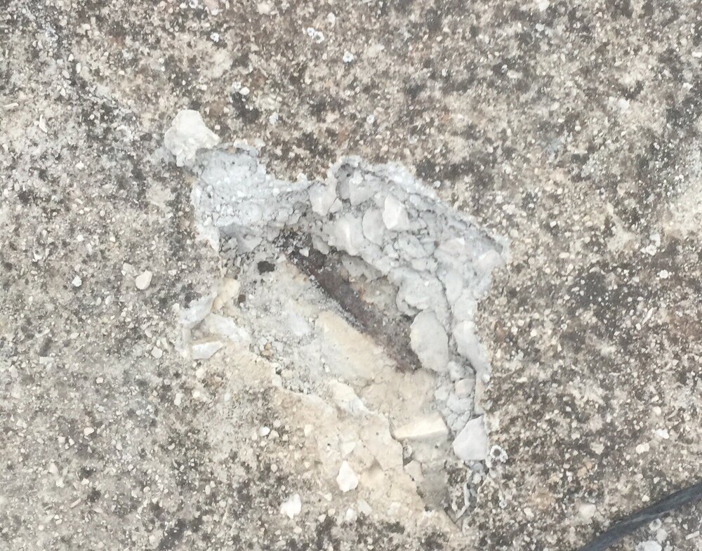 image_6483441 (1).JPG