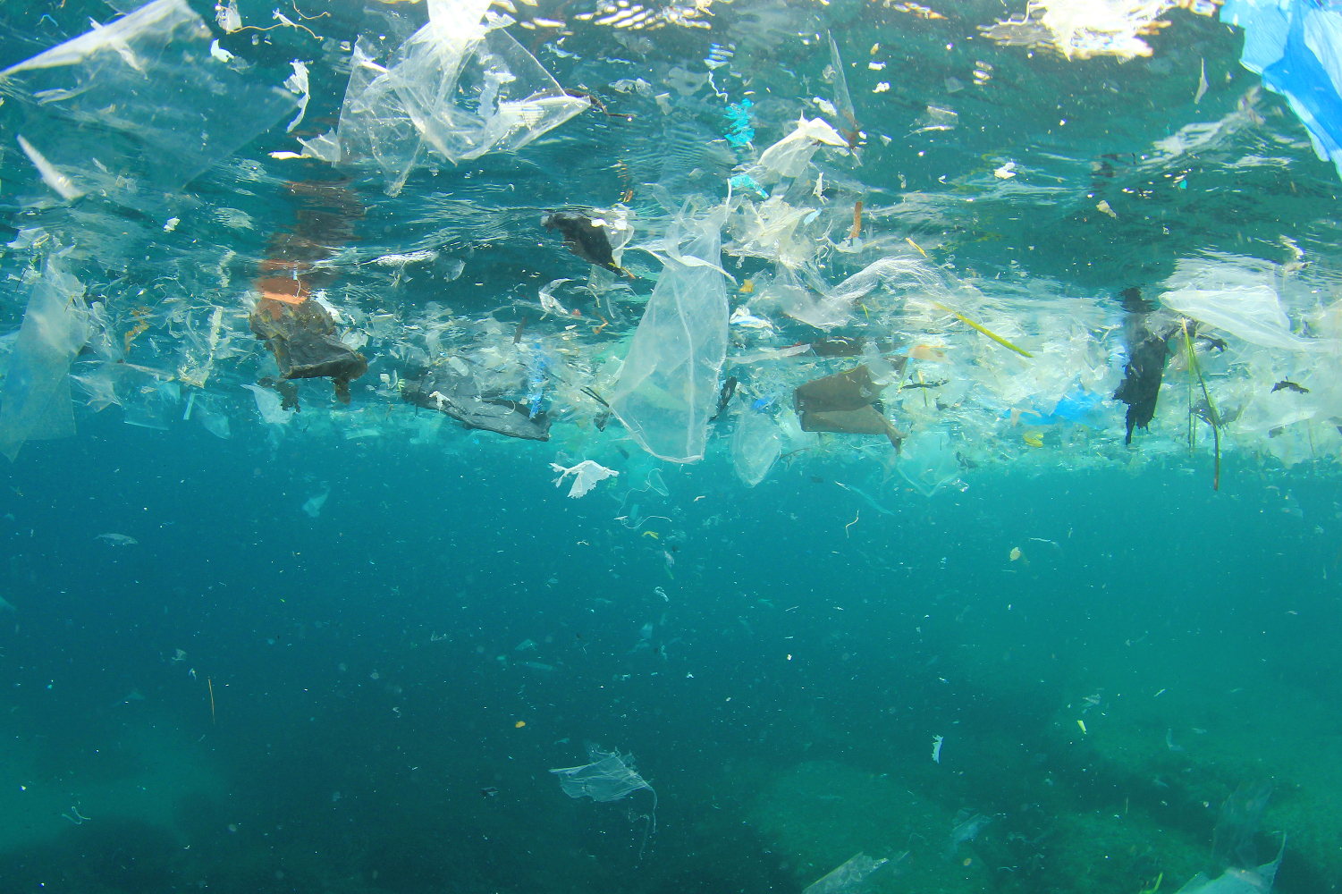 More information about "Περίπου 229.000 τόνοι πλαστικών καταλήγουν ετησίως στη Μεσόγειο Θάλασσα"