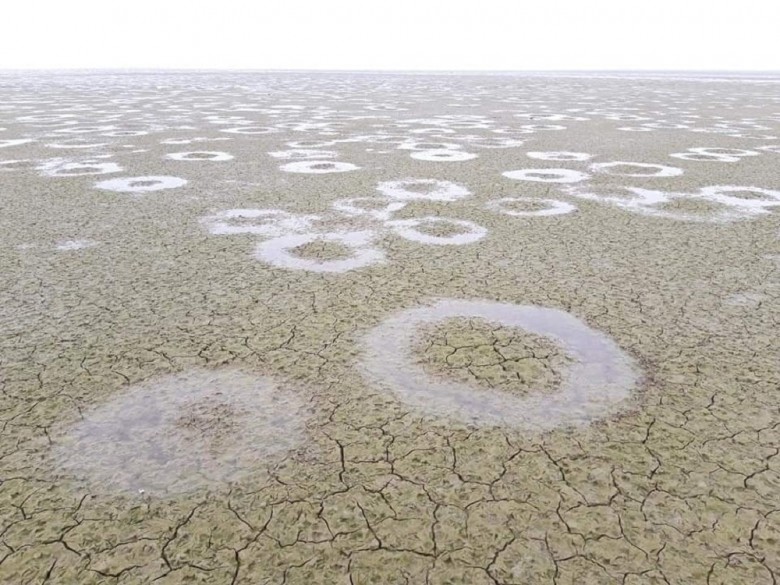 More information about "Το μυστήριο των τέλειων κύκλων στον πυθμένα της λίμνης Κερκίνης"