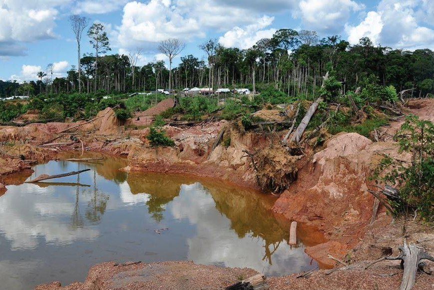 More information about "Αμαζόνιος: Το τροπικό δάσος κινδυνεύει να μετατραπεί σε σαβάνα έως το 2064"