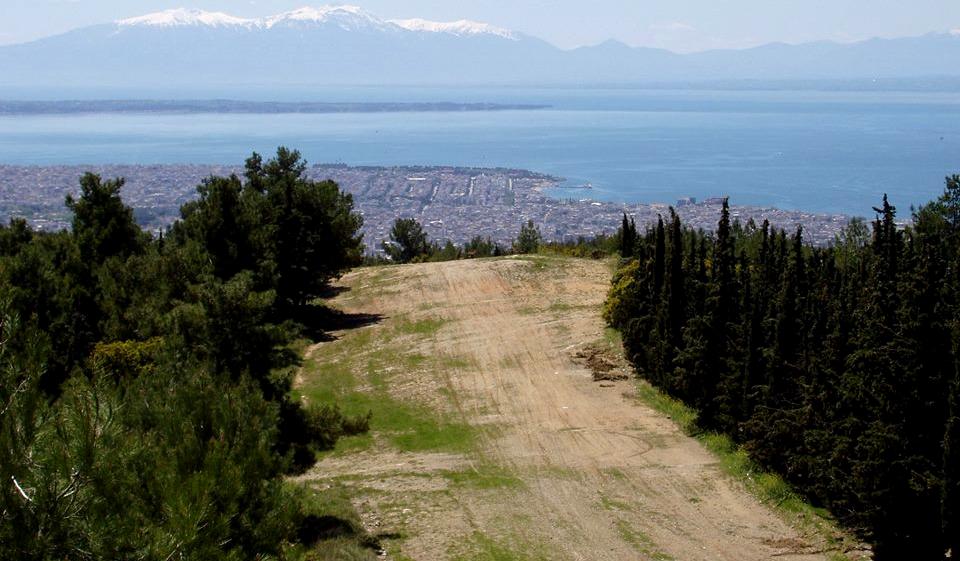 More information about "Θεσσαλονίκη και αστικό πράσινο – Το σήμερα και το όραμα των κατοίκων"