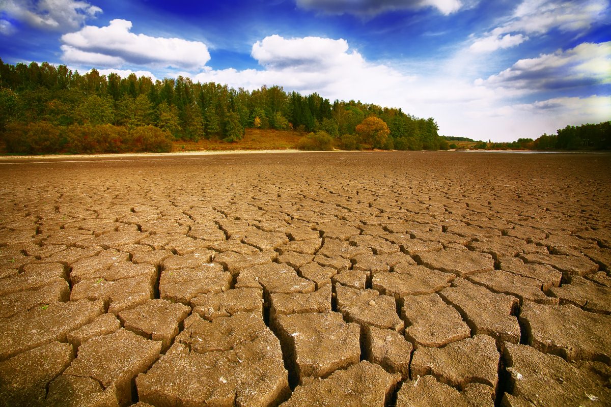 More information about "Κλιματική αλλαγή στην Ευρώπη: Τριπλάσιες απώλειες στη συγκομιδή λόγω ξηρασίας τα τελευταία 50 χρόνια"