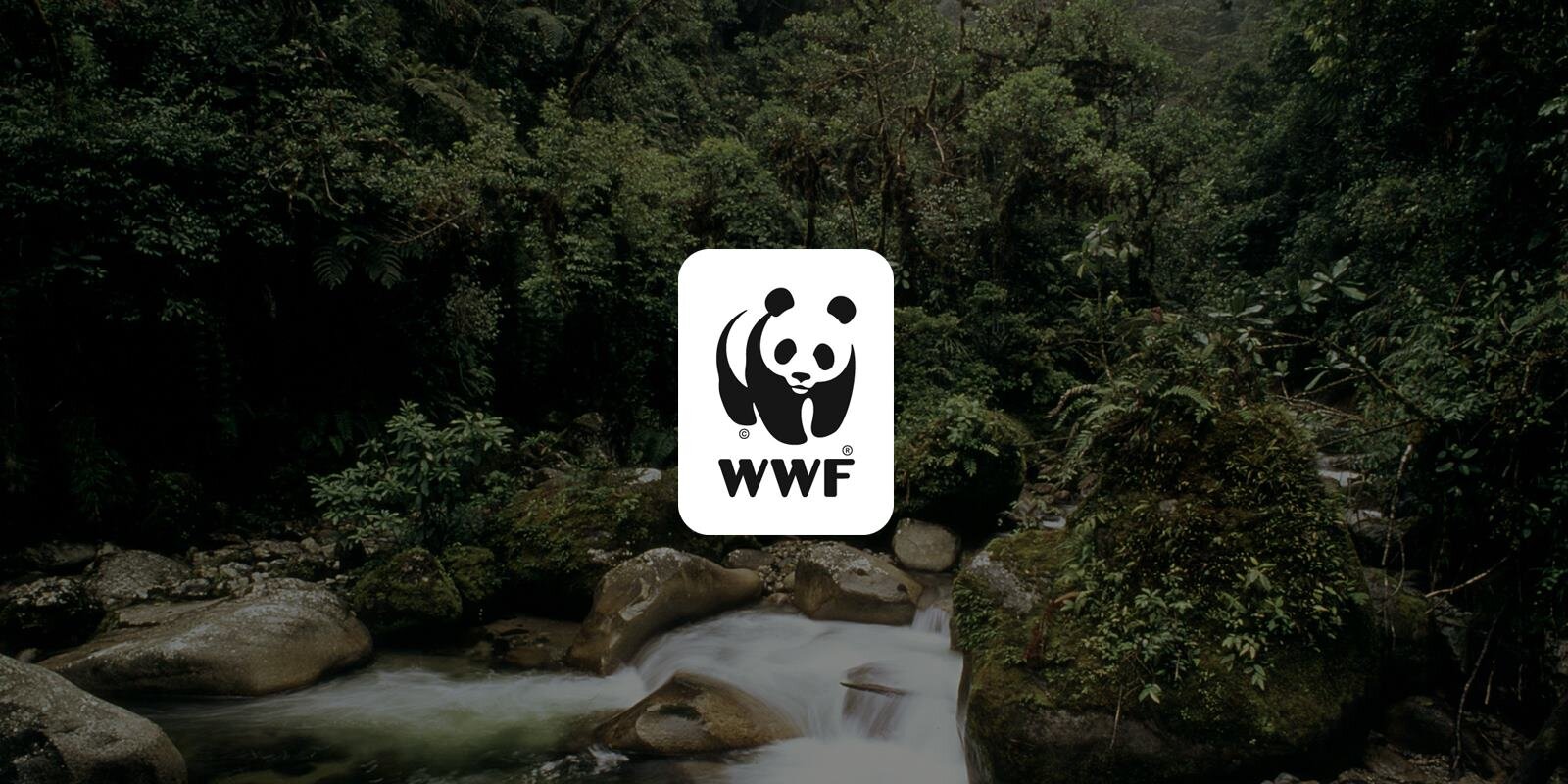 More information about "Οι 10 προτάσεις της WWF Ελλάς για την επόμενη ημέρα των πυρκαγιών"