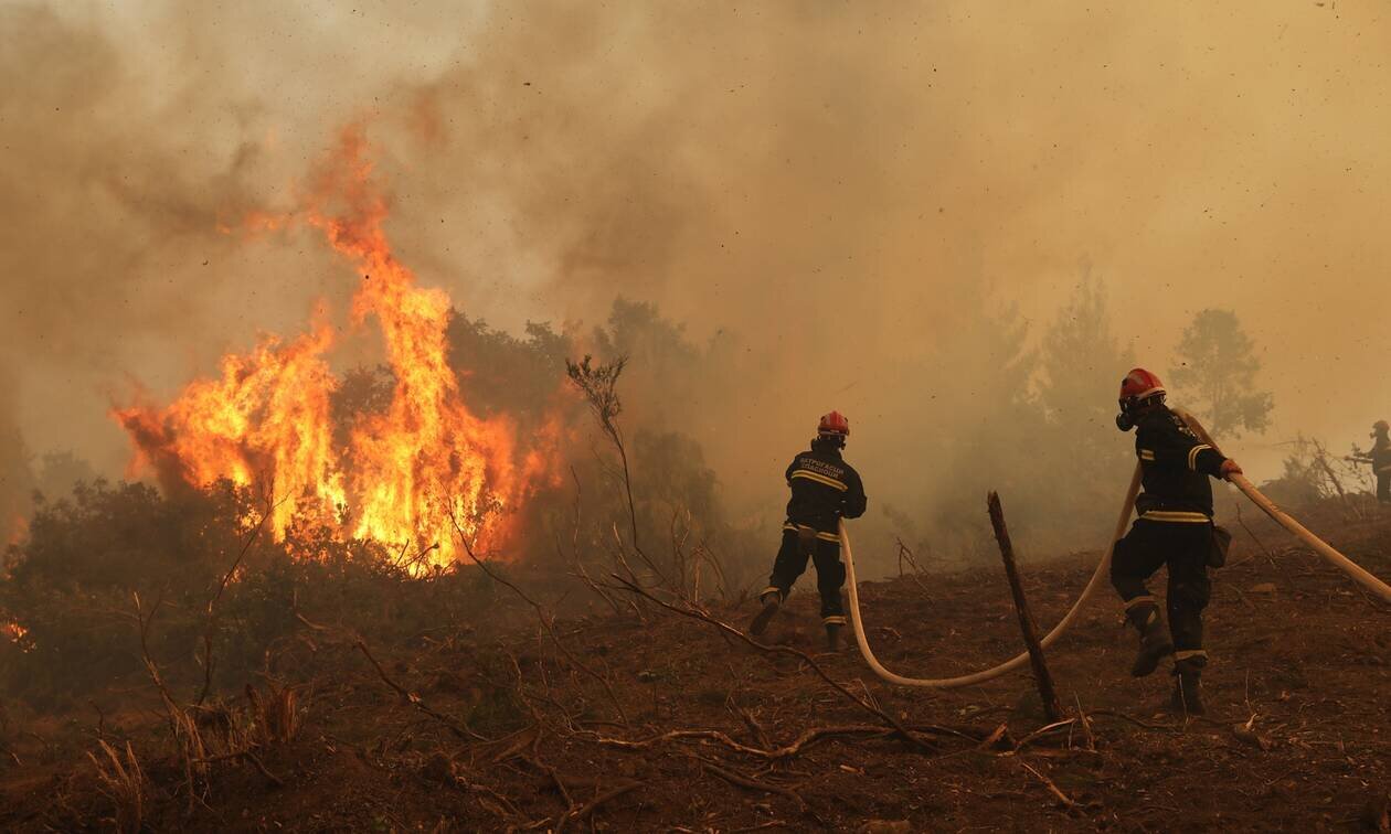 More information about "Φωτιά στην Εύβοια – Η μεγαλύτερη καταστροφή όλων των εποχών"