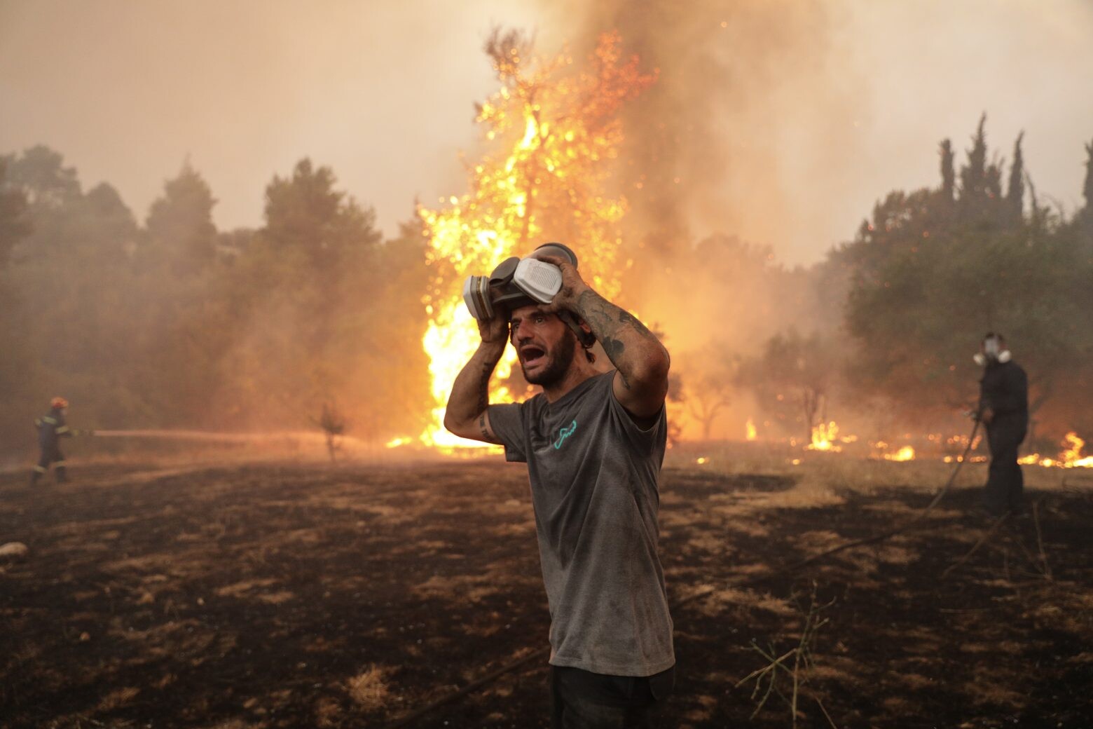 More information about "Καμένο το 1/6 των δασών της Αττικής από τις πρόσφατες πυρκαγιές"