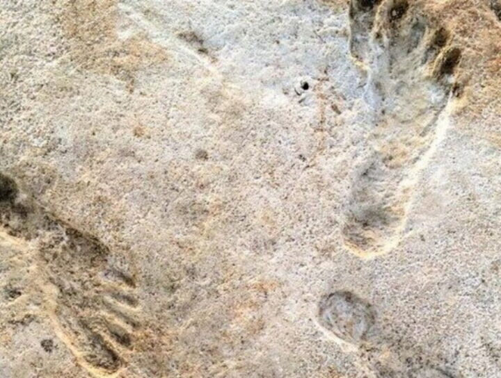 More information about "Τα αρχαιότερα απολιθωμένα ίχνη όρθιας βάδισης που έχουν ανακαλυφθεί βρίσκονται στην Κρήτη"
