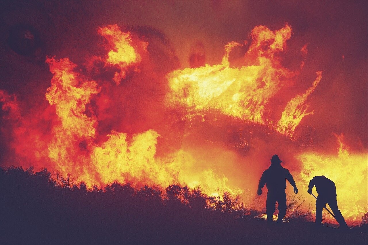 More information about "Το 2021 κάηκαν τόσα στρέμματα όσα την τελευταία 8ετία"