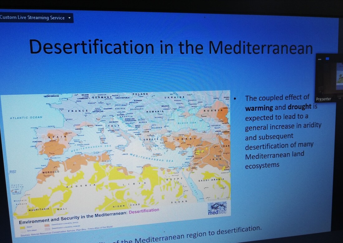 med-5.jpg