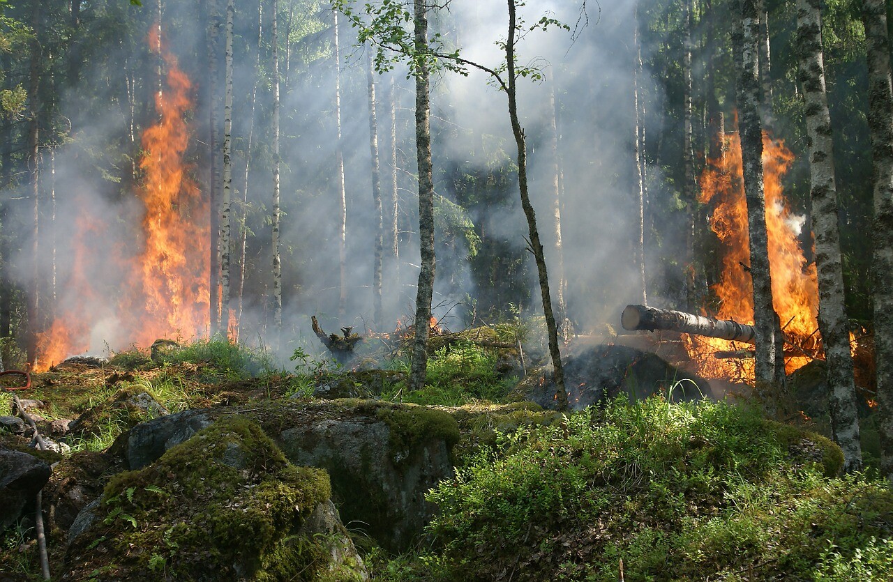 More information about "Ο καιρός ως περιβαλλοντικός παράγοντας για τις δασικές πυρκαγιές"