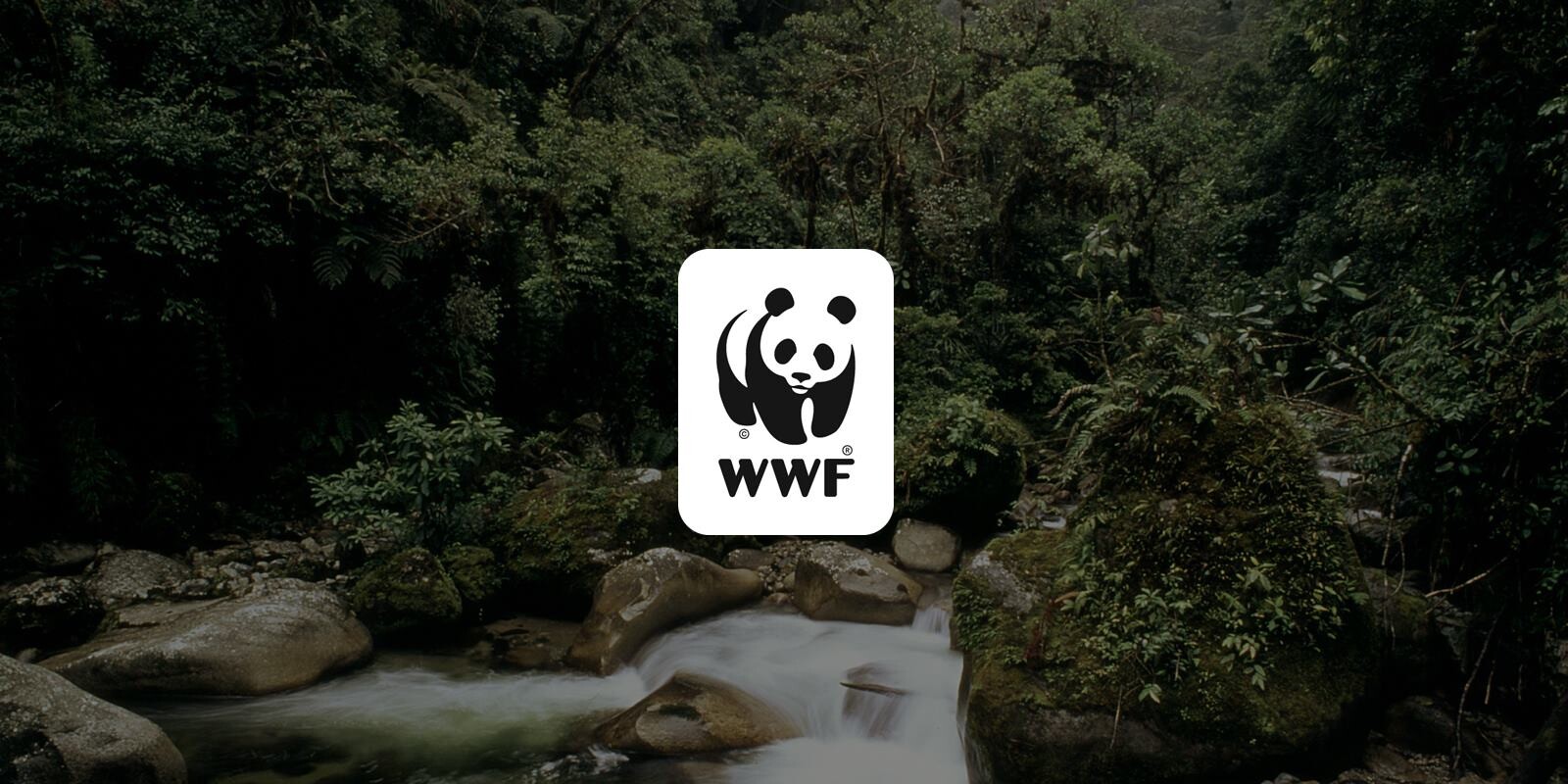 More information about "Τα οικονομικά της πρόληψης και της καταστολής των δασικών πυρκαγιών για πρώτη φορά σε μια αναλυτική έκθεση από το WWF"