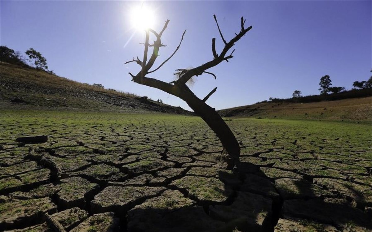 More information about "Διάβρωση: Κάθε χρόνο η μεσογειακή γη χάνει μισό τόνο εύφορου εδάφους σε κάθε στρέμμα"