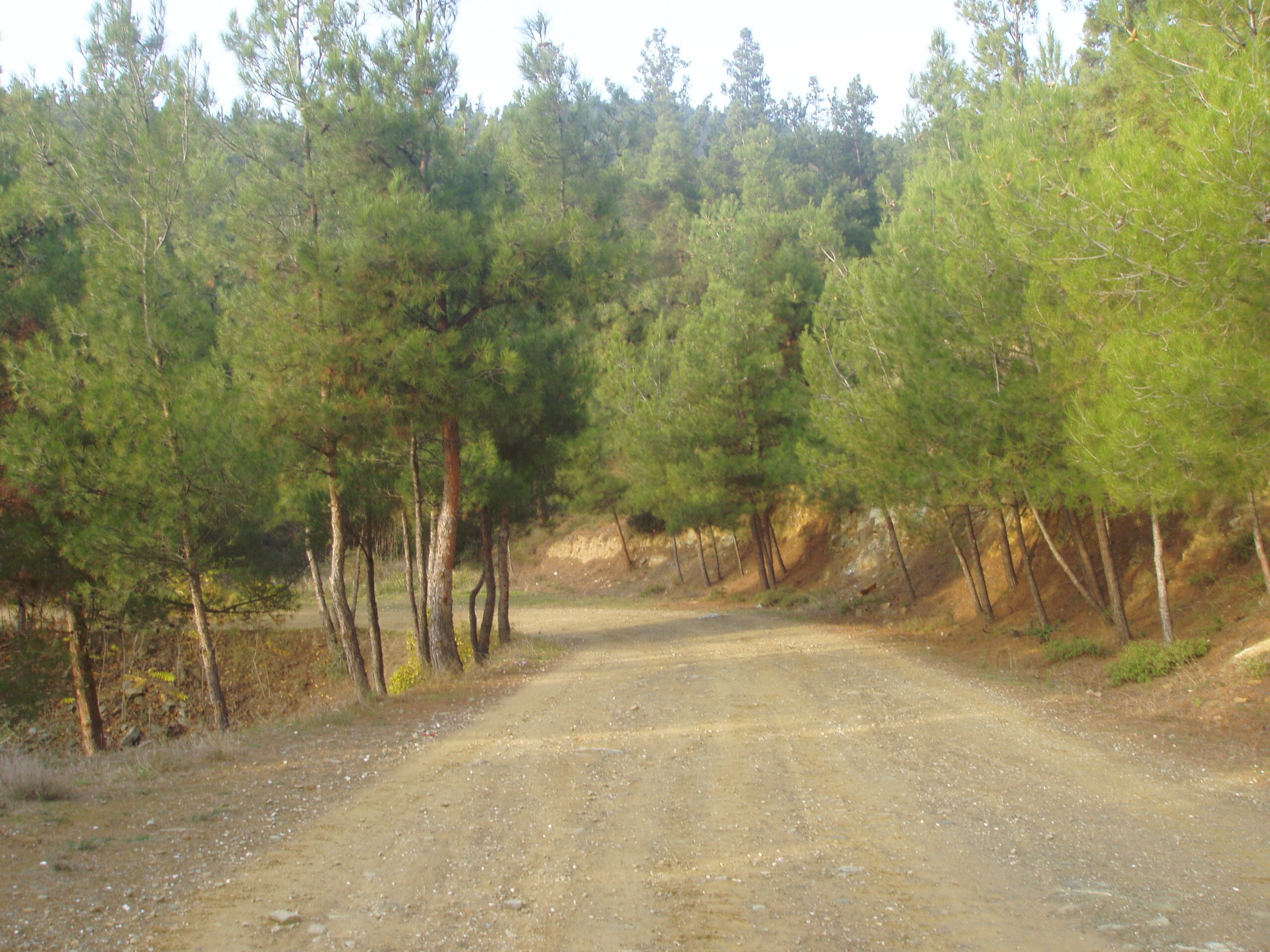 More information about "Θεσσαλονίκη: Το Σέιχ - Σου αναγεννιέται από τις στάχτες του - Πώς θα είναι σε μια δεκαετία"