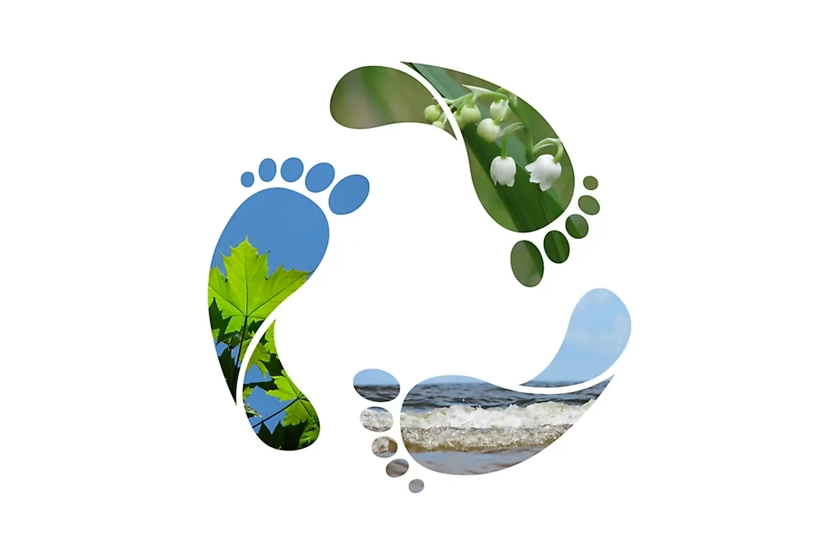 More information about "Η εφαρμογή Water Footprint του ΑΠΘ μετρά το νερό που καταναλώνουν νοικοκυριά"