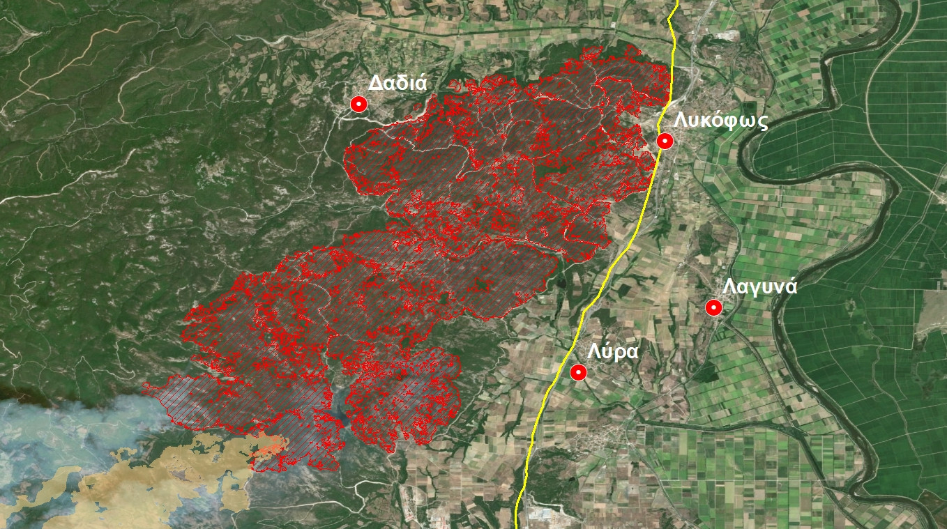 More information about "Δαδιά: Στάχτη 42.500 στρέμματα Natura 2000, πάνω από το 10% της συνολικής έκτασης του δάσους"